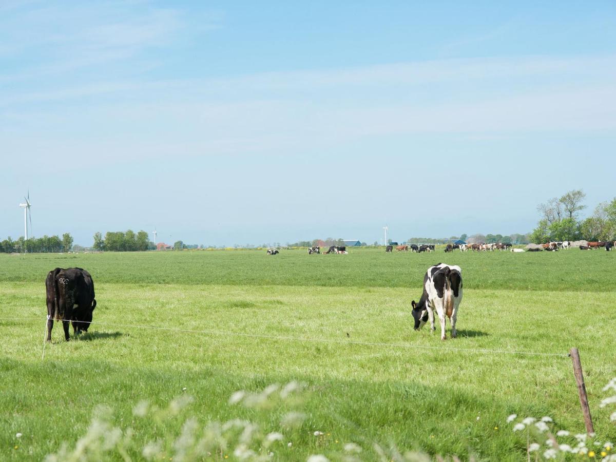 Charming House In Easterlittens On A Frisian Farm Wommels Εξωτερικό φωτογραφία